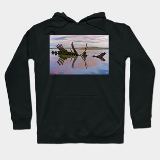 SHIPWRECK IN A SHIPWRECK Hoodie